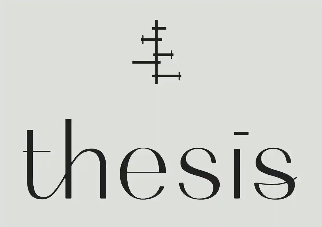thesisbeauty.com